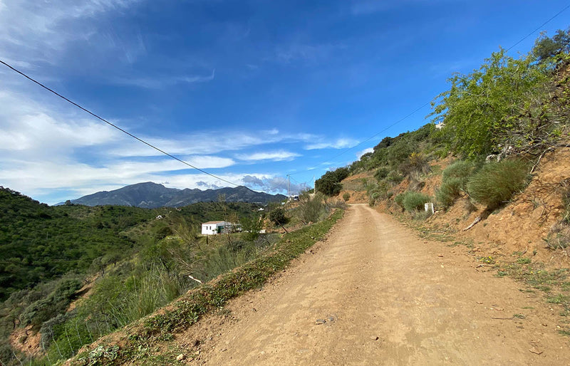 Cycling and the joy of life