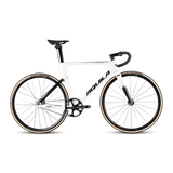 AQUILA EQUIPE TR
