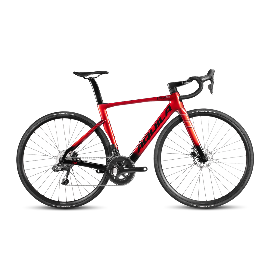 AQUILA EQUIPE EVO 2.0 LTWOO ERX ROAD BIKE