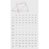 Aquila Equipe UNO Track Frameset - Winning White