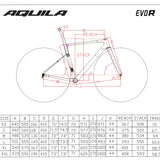 Aquila EVO R - ULTEGRA