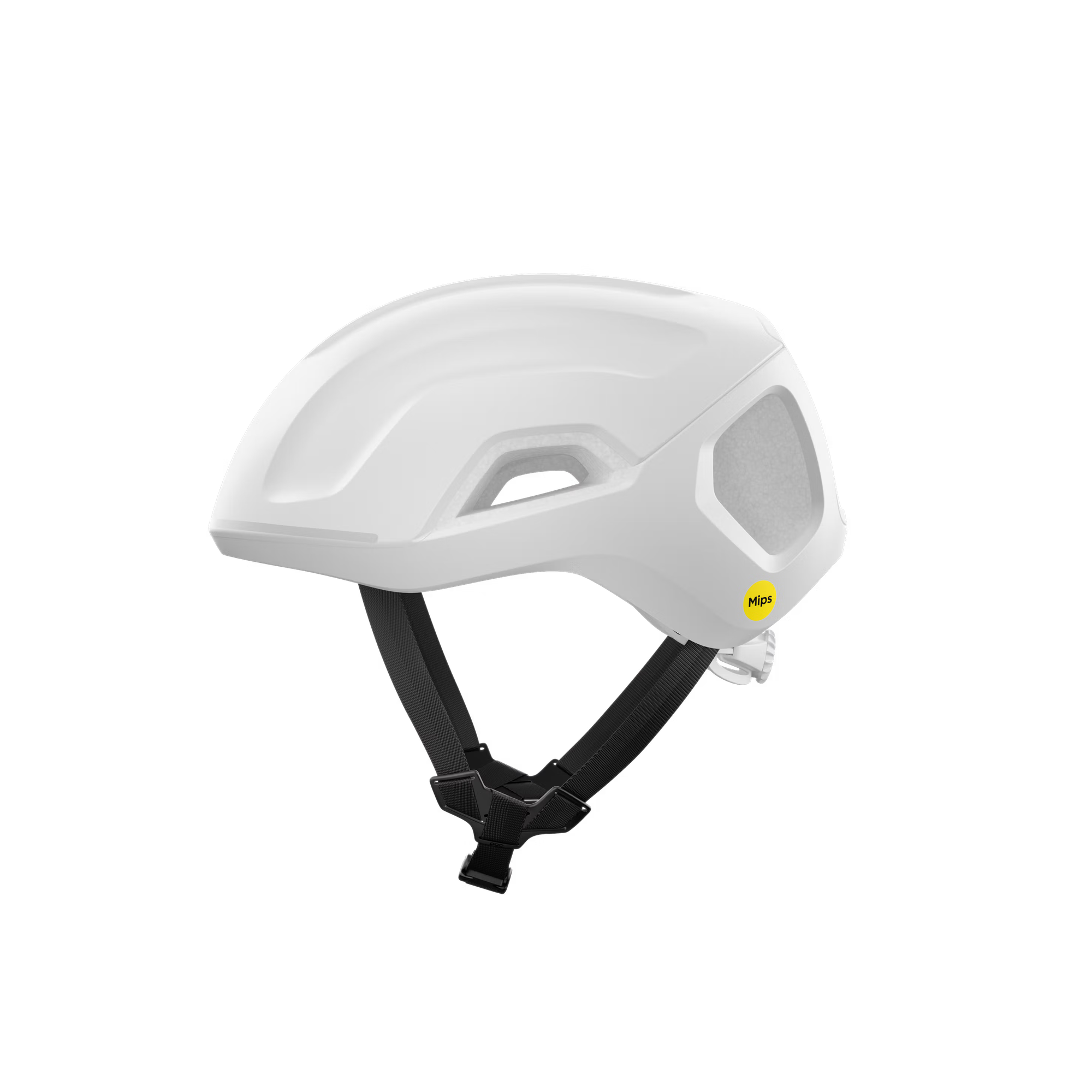 POC Ventral Tempus